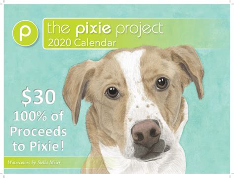 pixie project|pixie project volunteer.